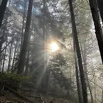 Daire Le Jardin Secret