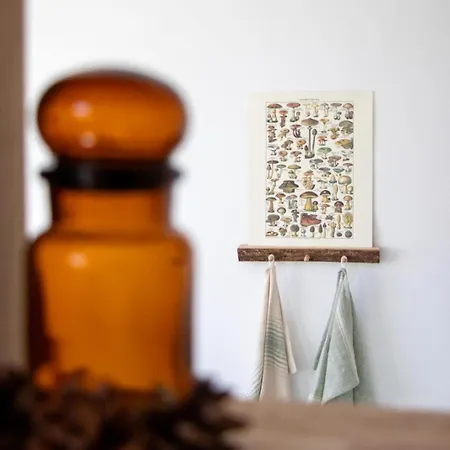 Appartement Le Jardin Secret