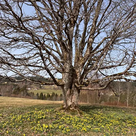 Daire Le Jardin Secret Remiremont
